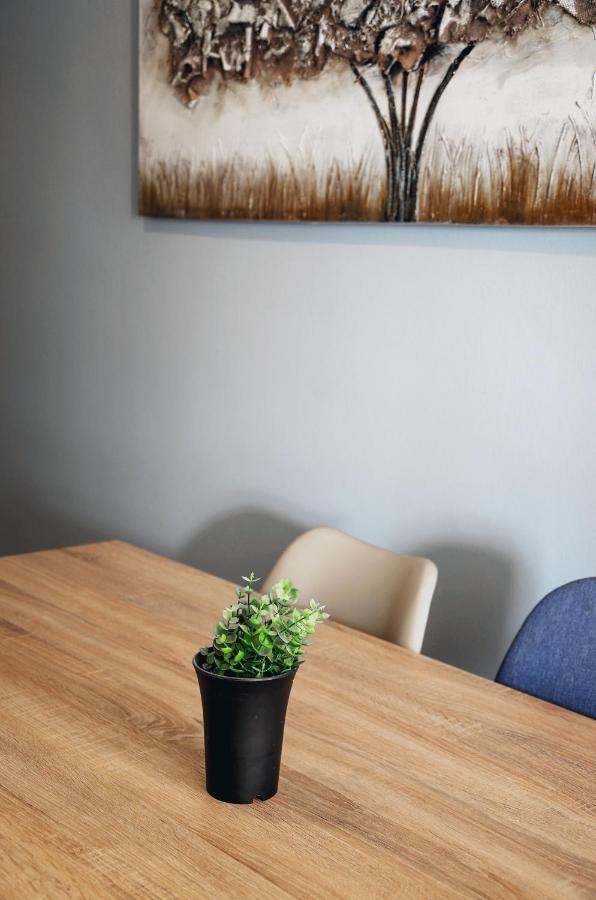 Cozy 2Ba In Athens Historic City Center Zewnętrze zdjęcie